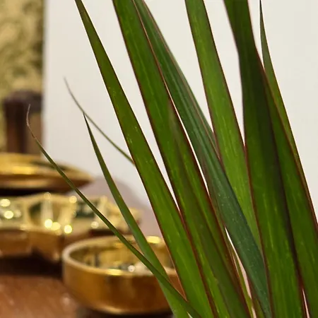 Residenza Brancondi 3* Лорето